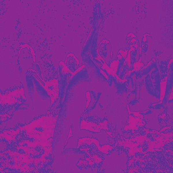 Acid Mothers Temple SWR