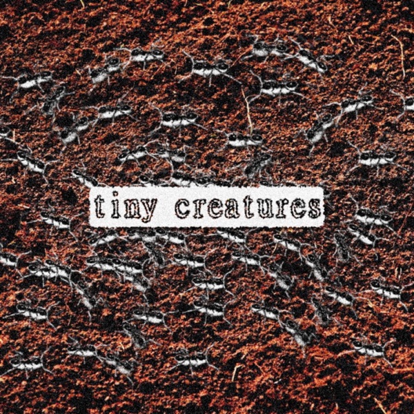 All Tiny Creatures