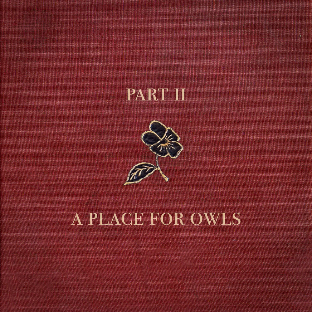 A Place for Owls