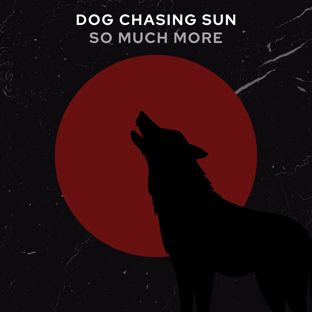 Dog Chasing Sun