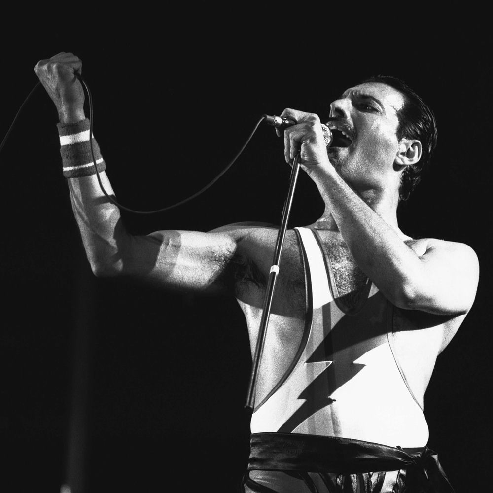 Freddy Mercury