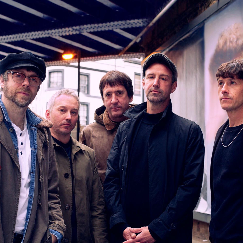 The Rifles