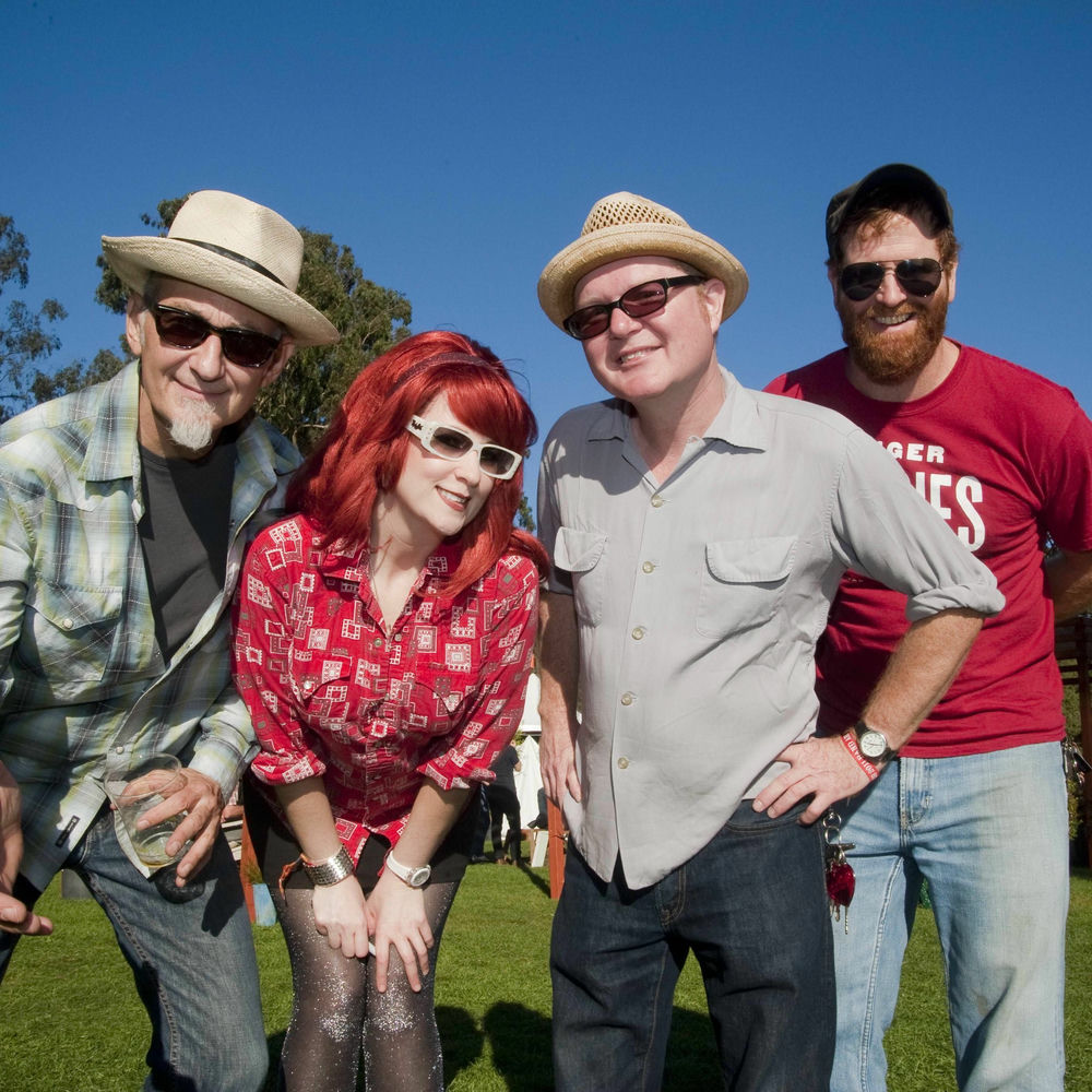 Southern Culture on the Skids