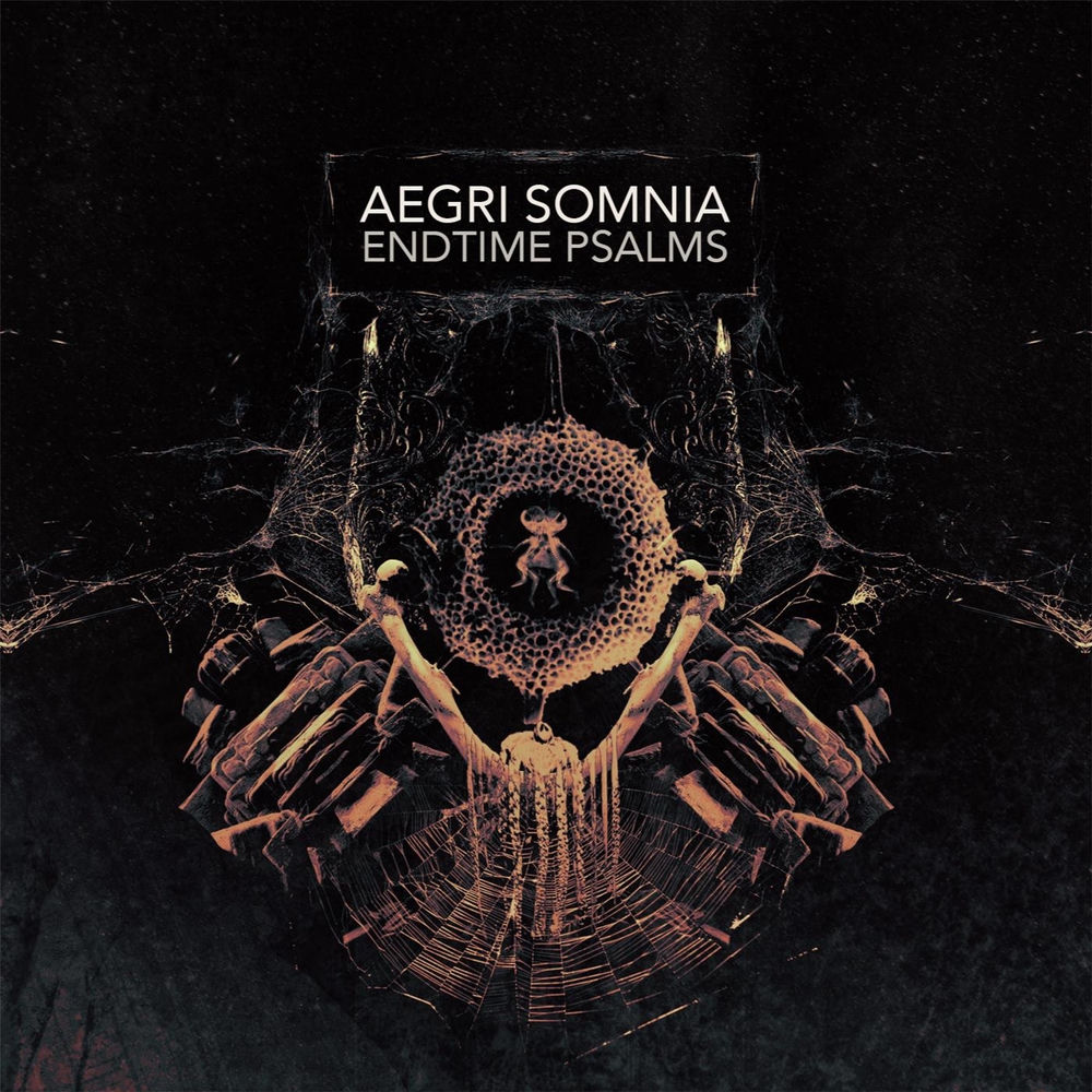 Aegri Somnia