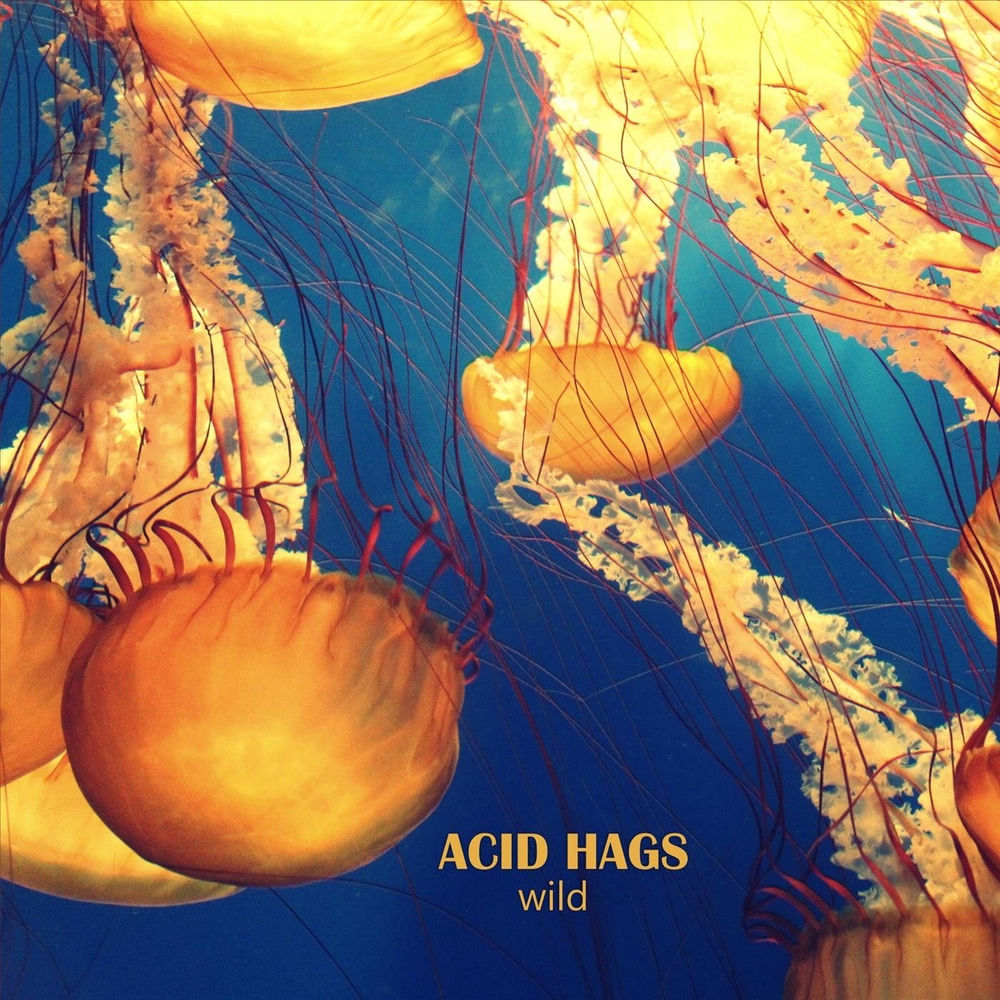 Acid Hags