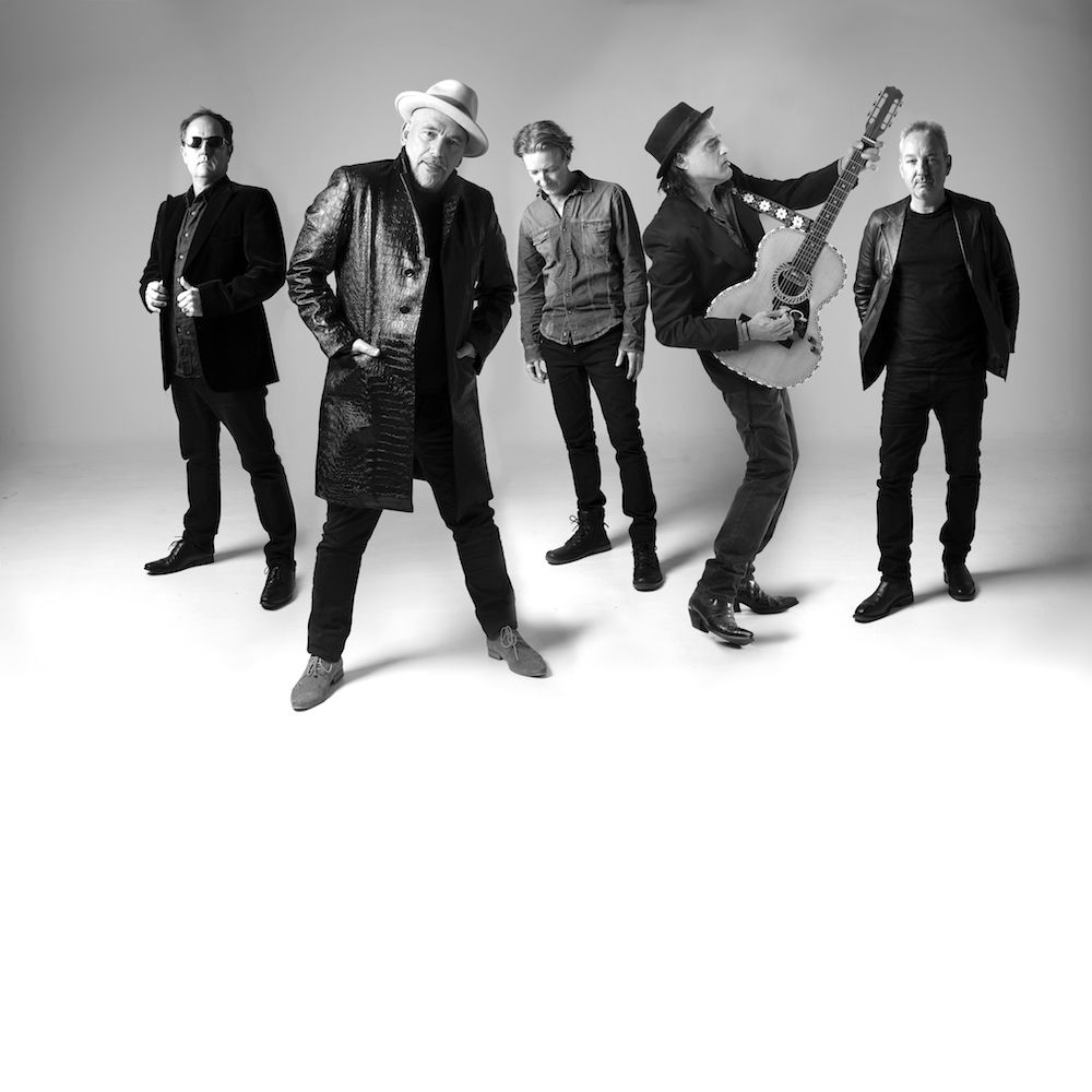 Black Sorrows