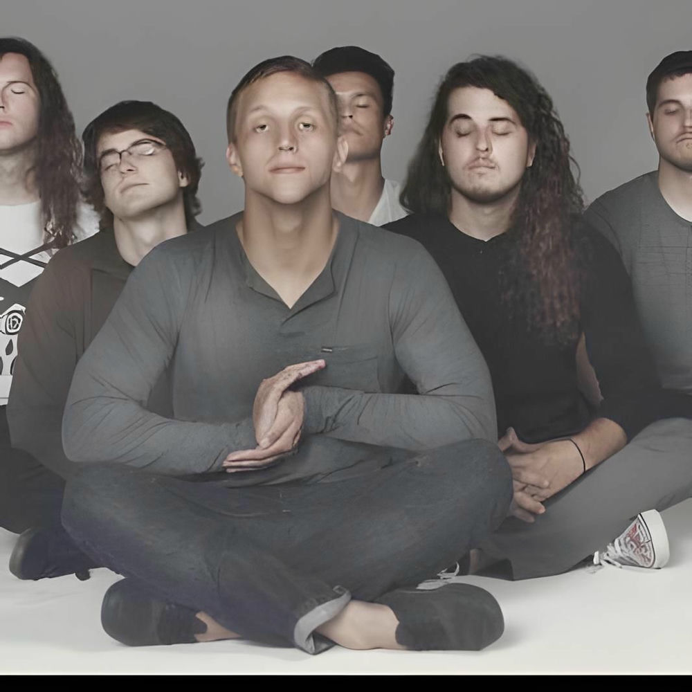 The Contortionist