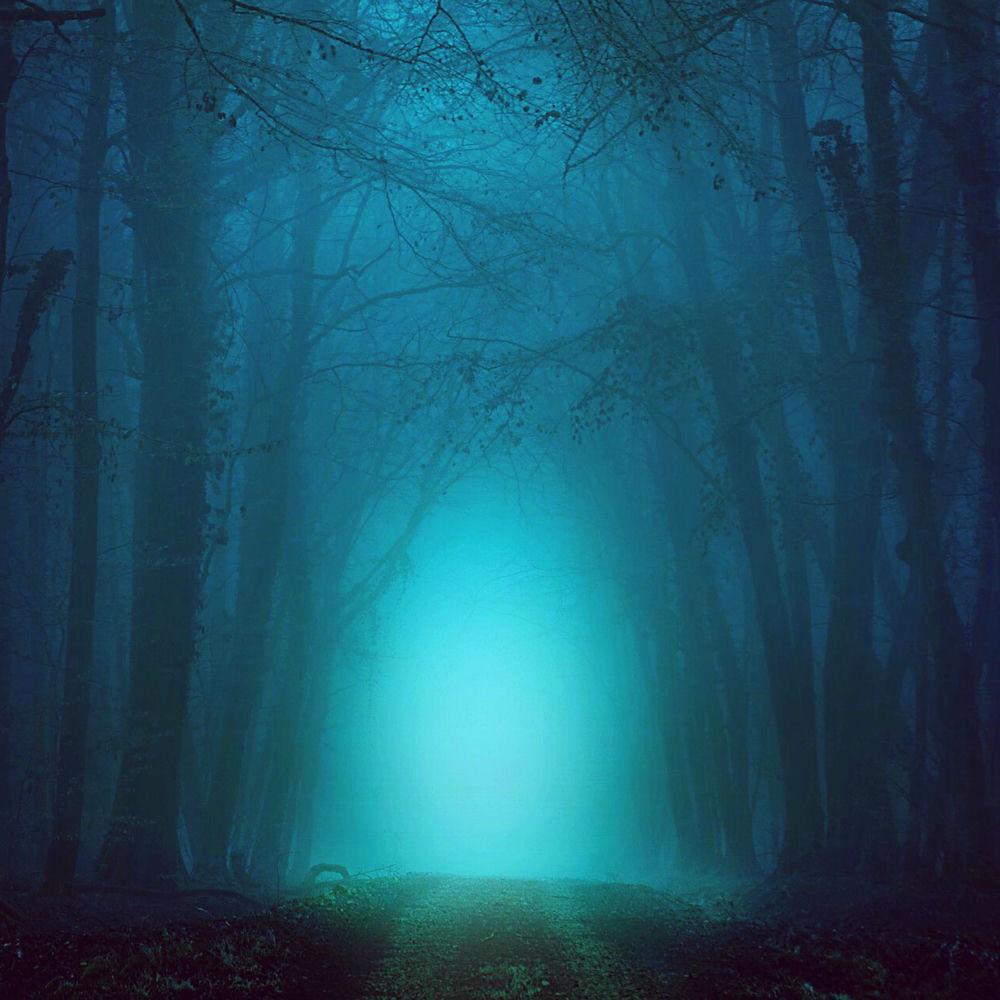 Ambient Road