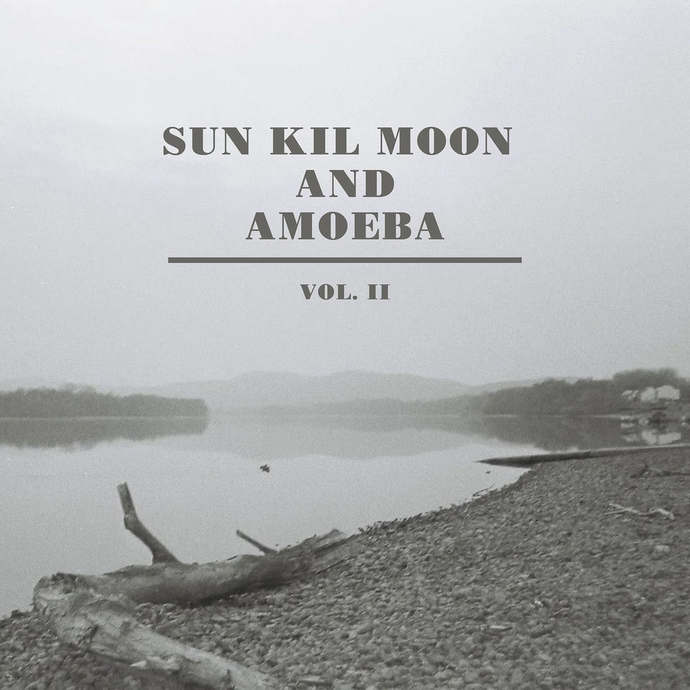 AMOEBA