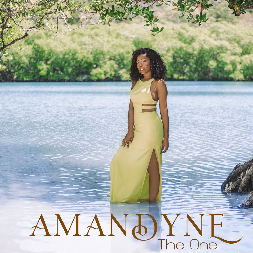 a paindyne