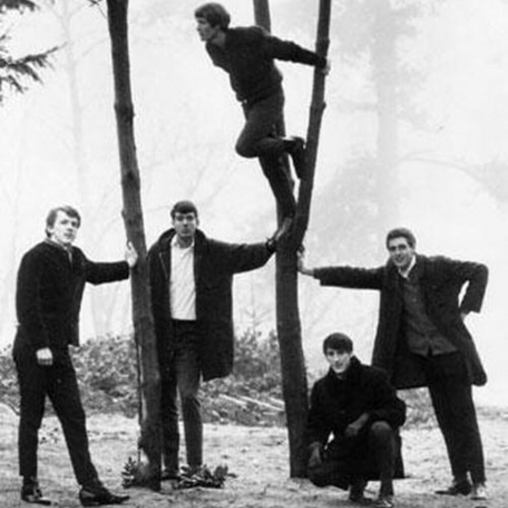 The Sonics