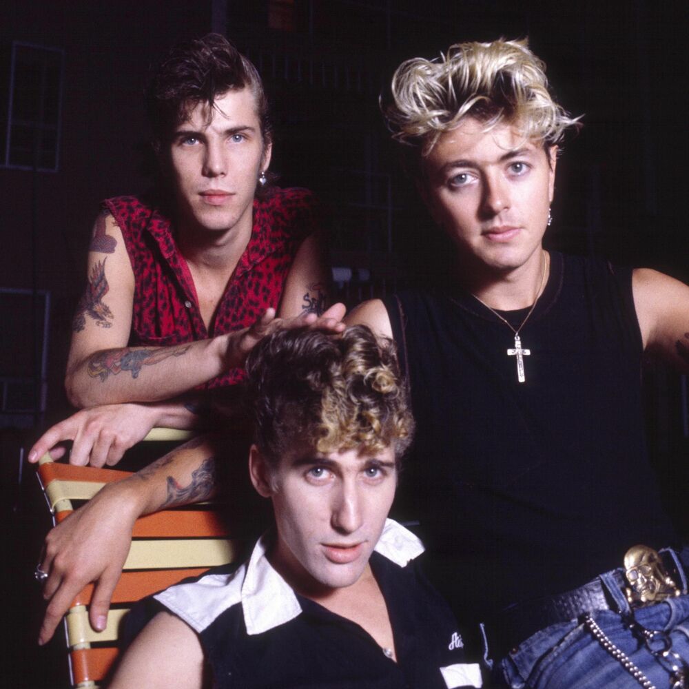 Stray Cats