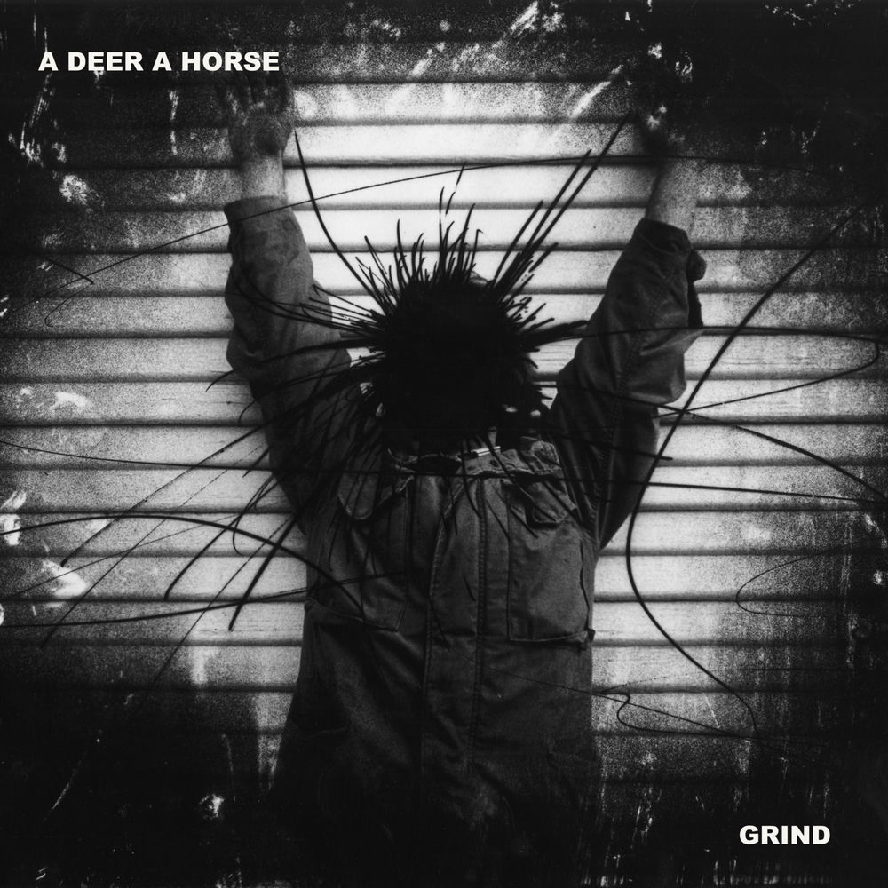 A Deer A Horse