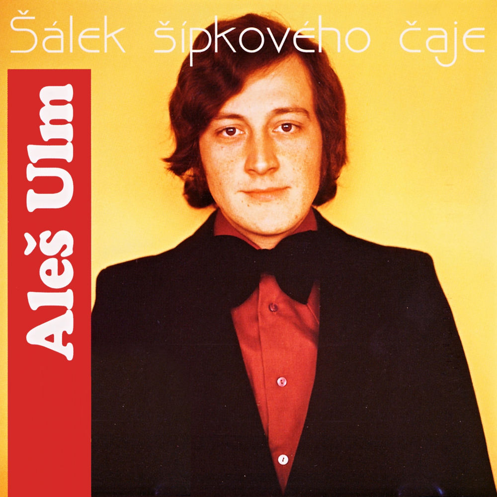 Aleš Ulm