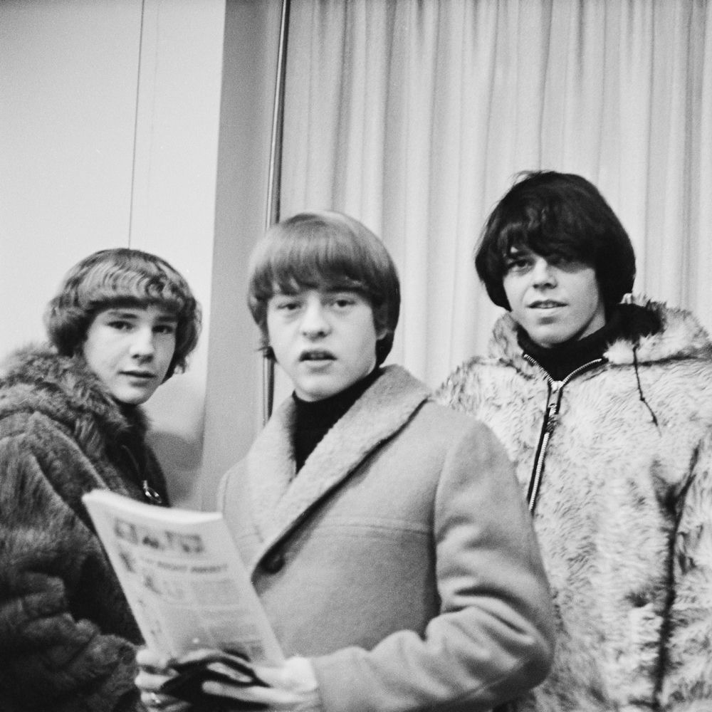 The McCoys