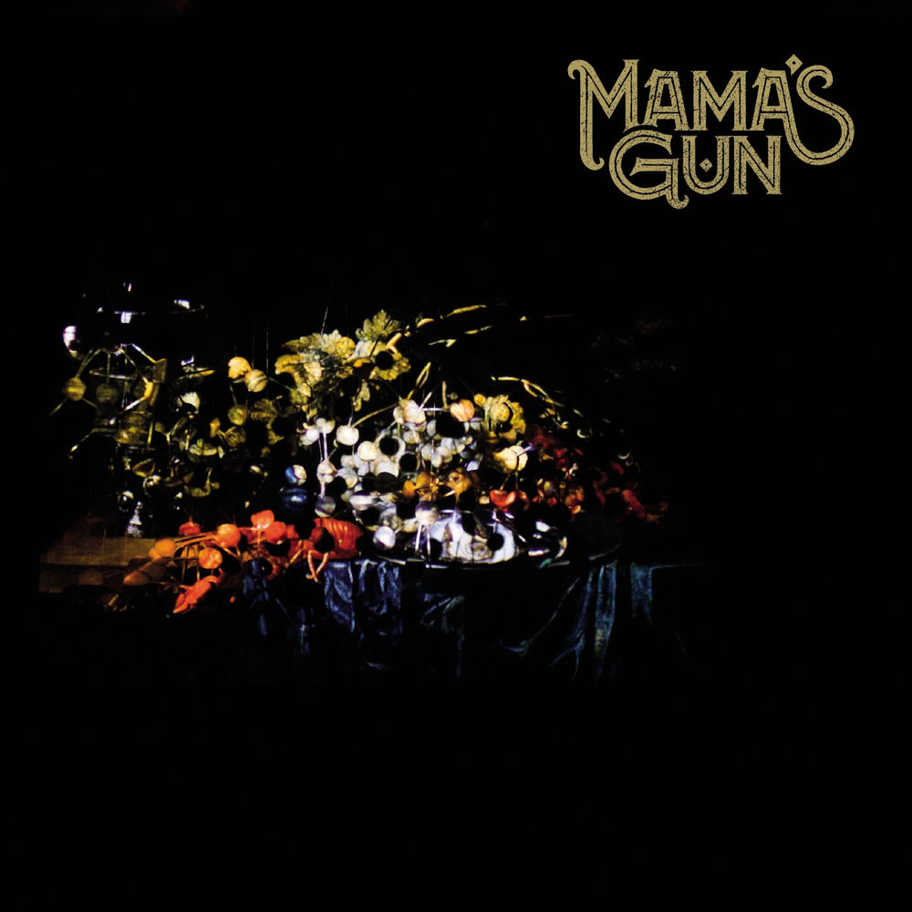 Mamas Gun