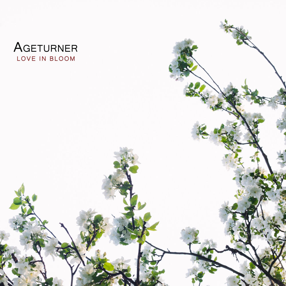 Ageturner