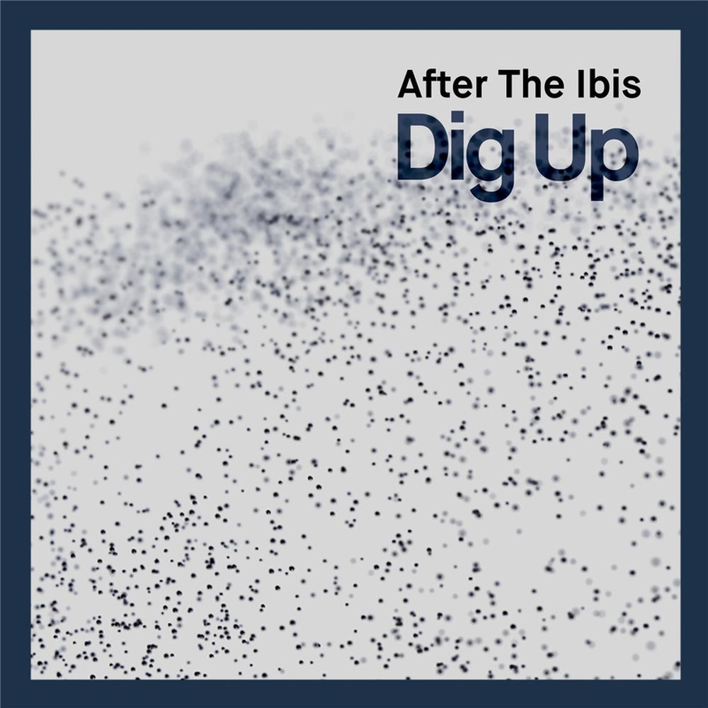 After the Ibis