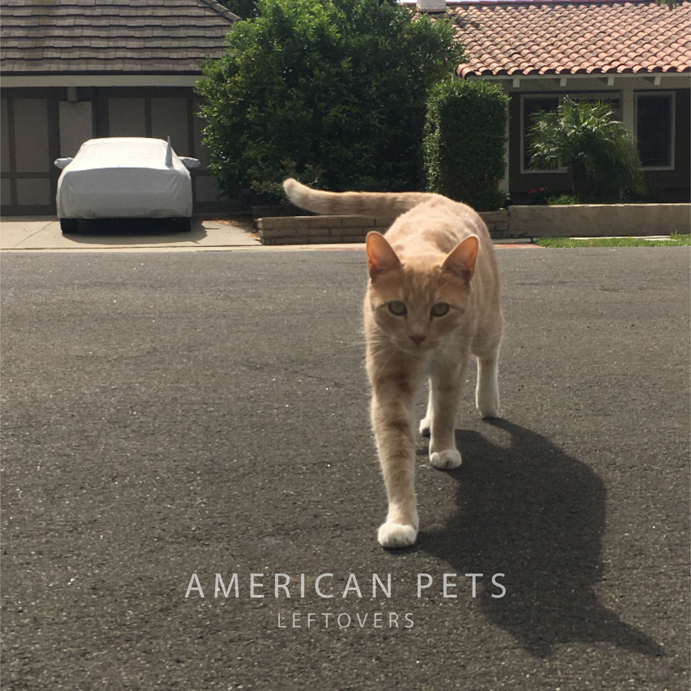 American Pets