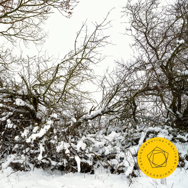 Kirill Petrenko: Berlin Philharmonic Orchestra