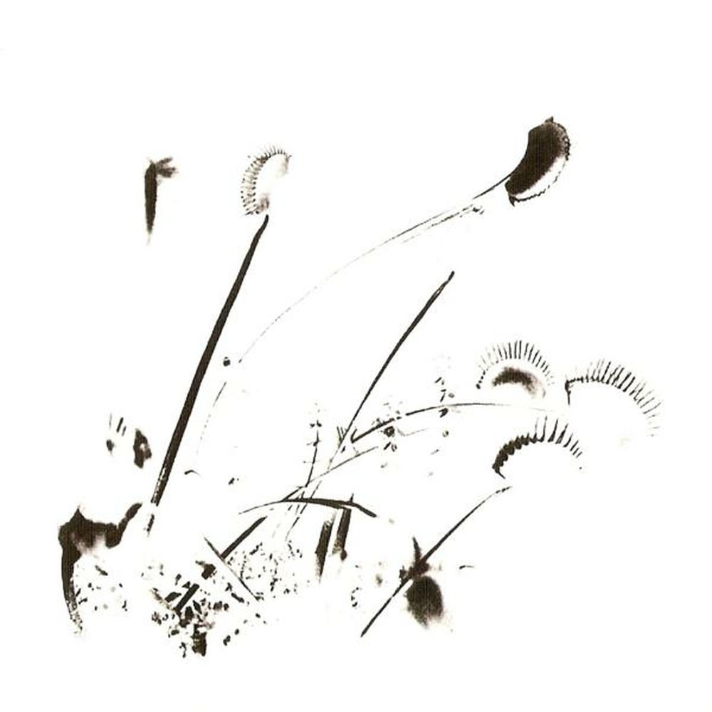 Self-Inflicted Violence