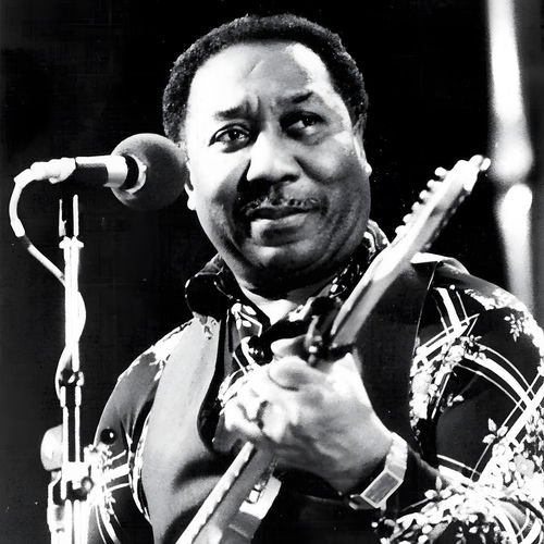 Muddy Waters