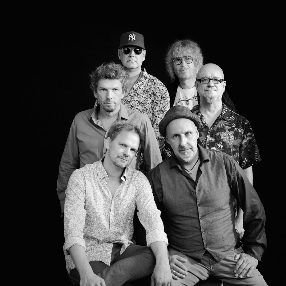 Fury in the Slaughterhouse