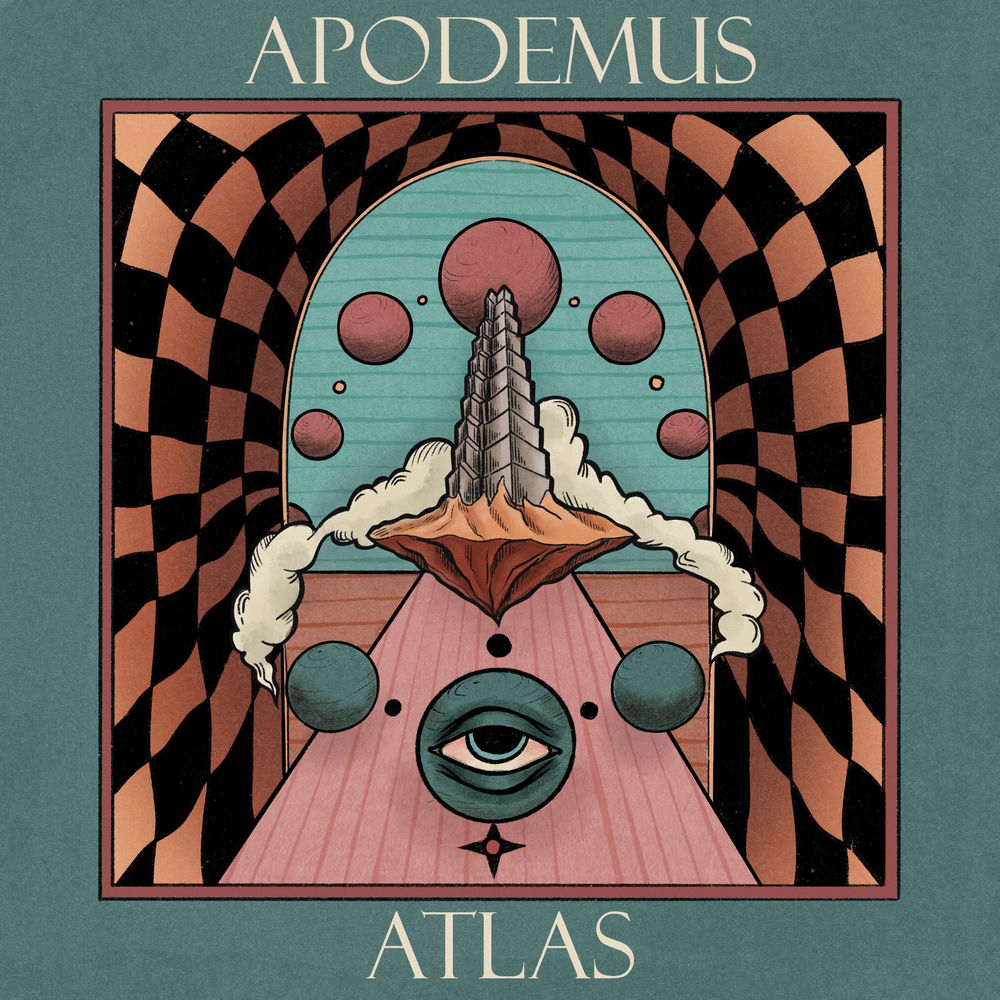 Apodemus