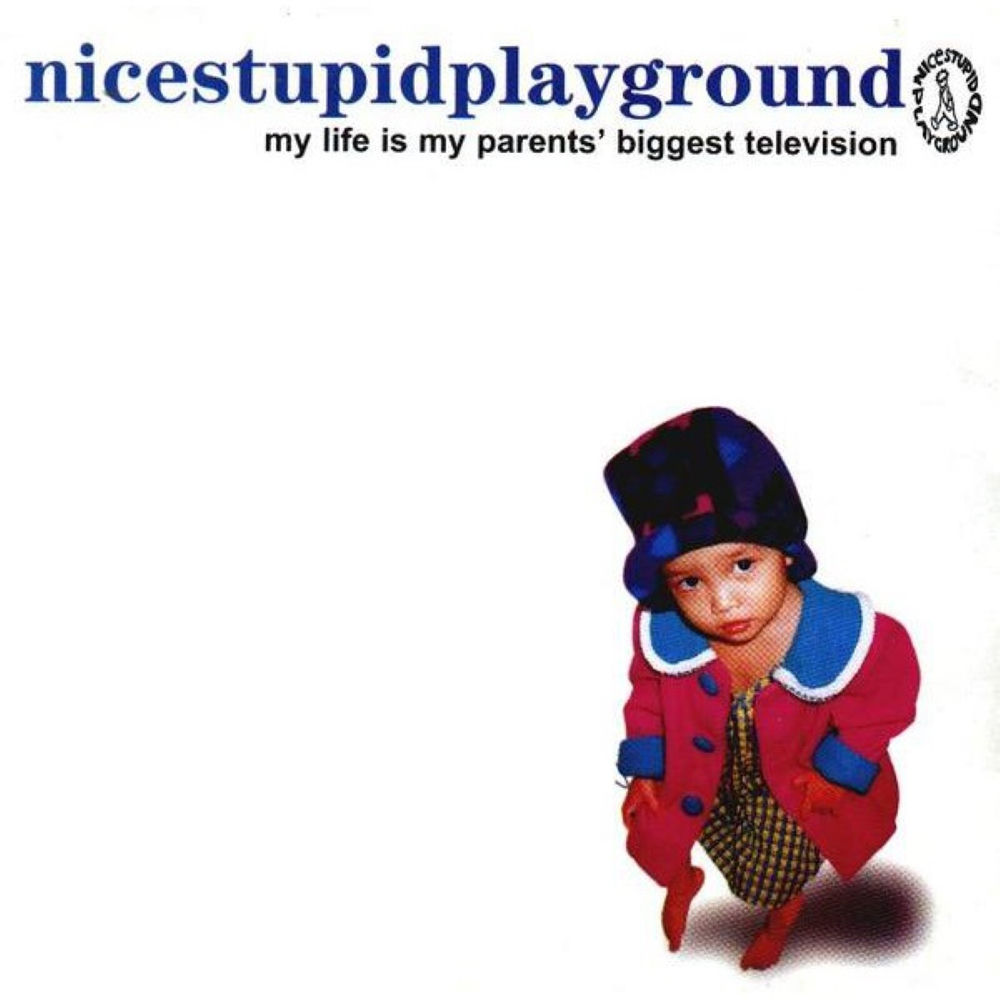 nicestupidplayground