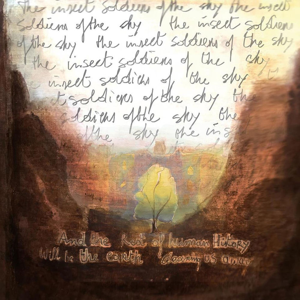 The Insect Soldiers of the Sky