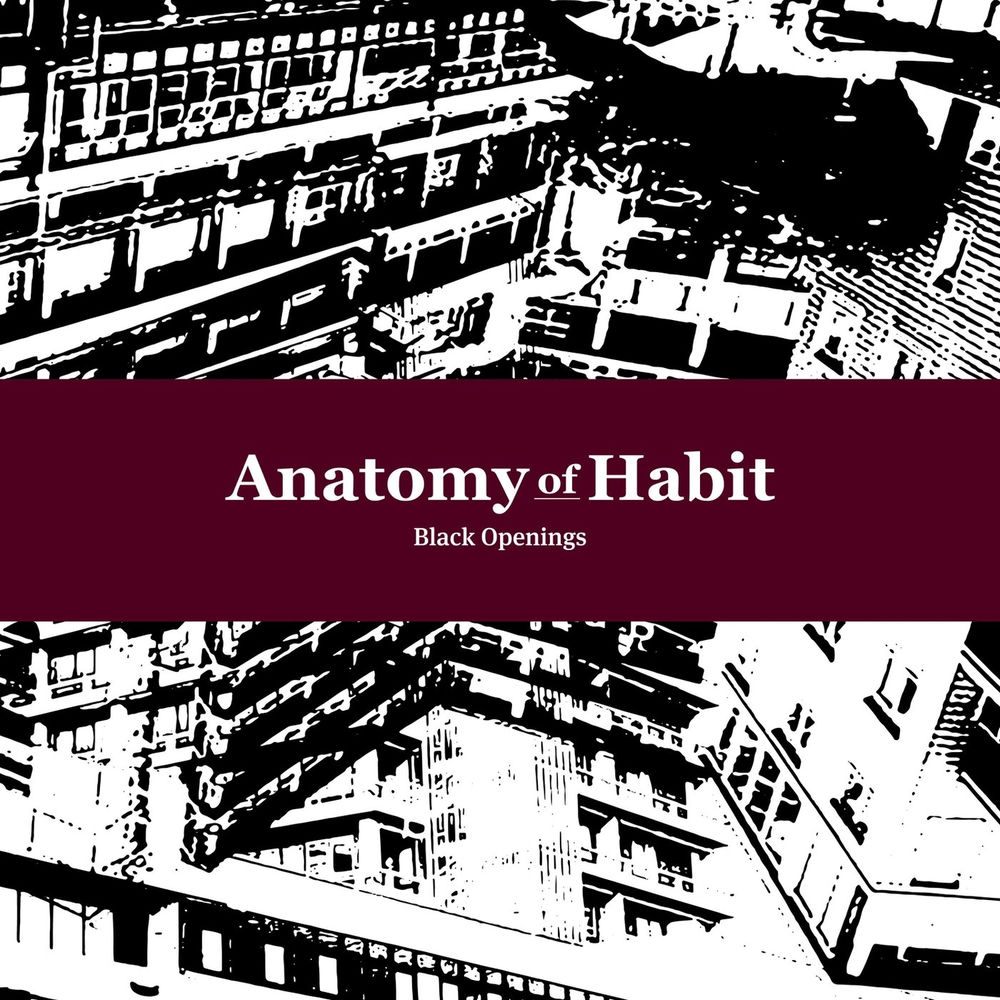 Anatomy of Habit