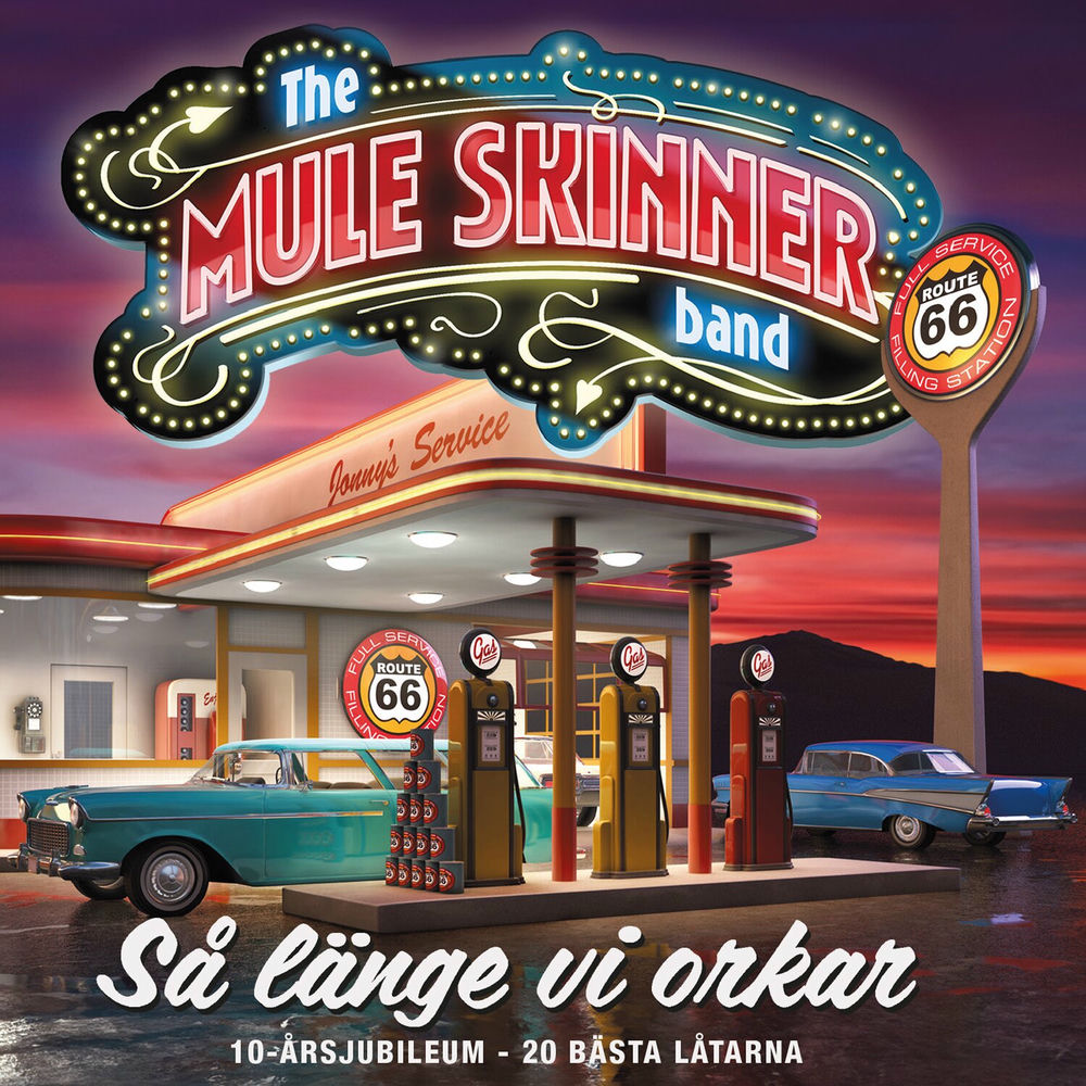 The Mule Skinner Band