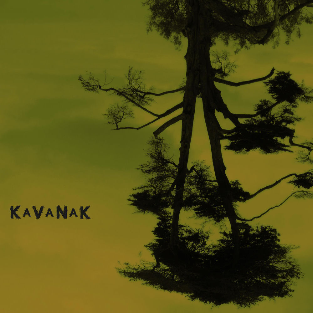 Ginzu and The Steak Knives