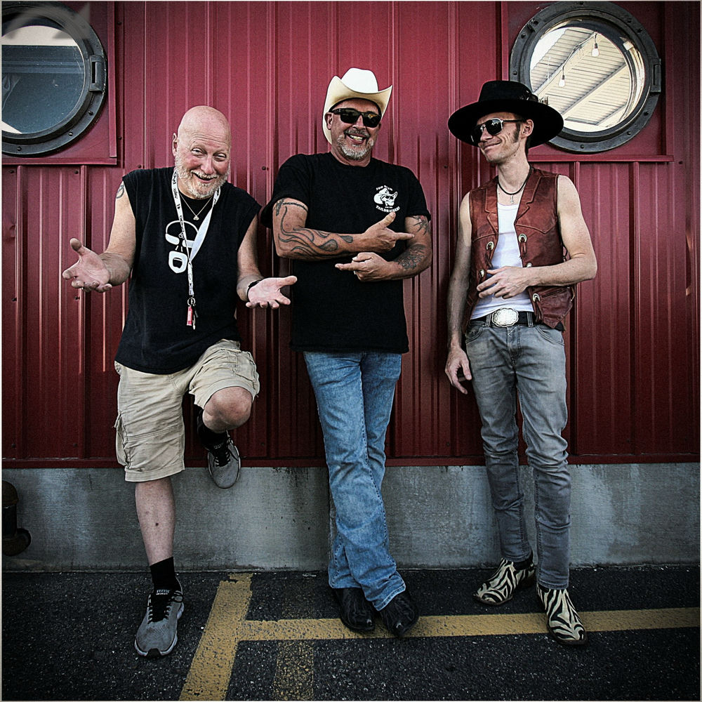 Too Slim and the Taildraggers