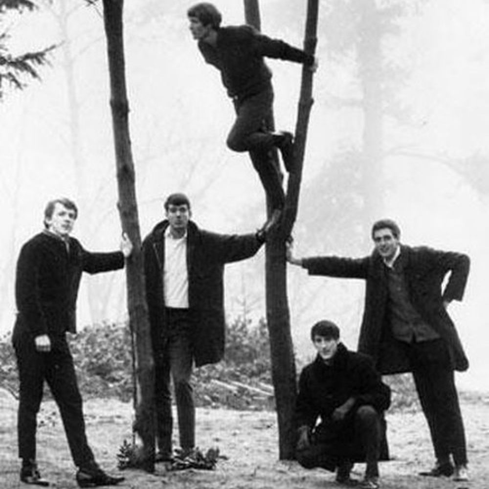 The Sonics