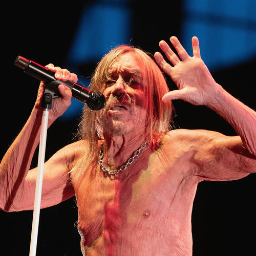 Iggy Pop