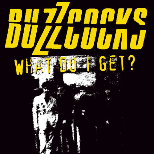 The Buzzcocks