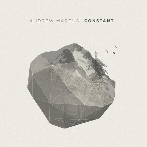 Andrew Marcus