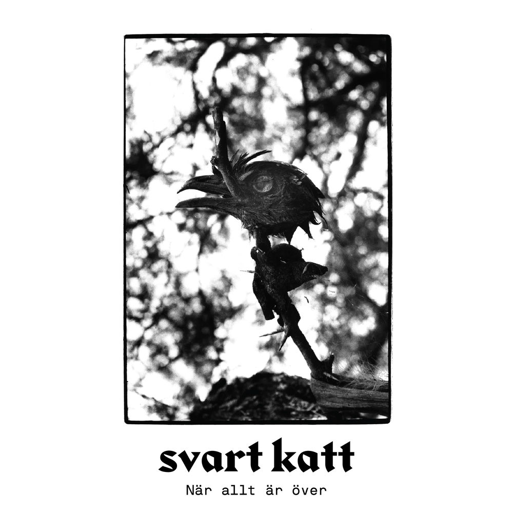 Svartkraft