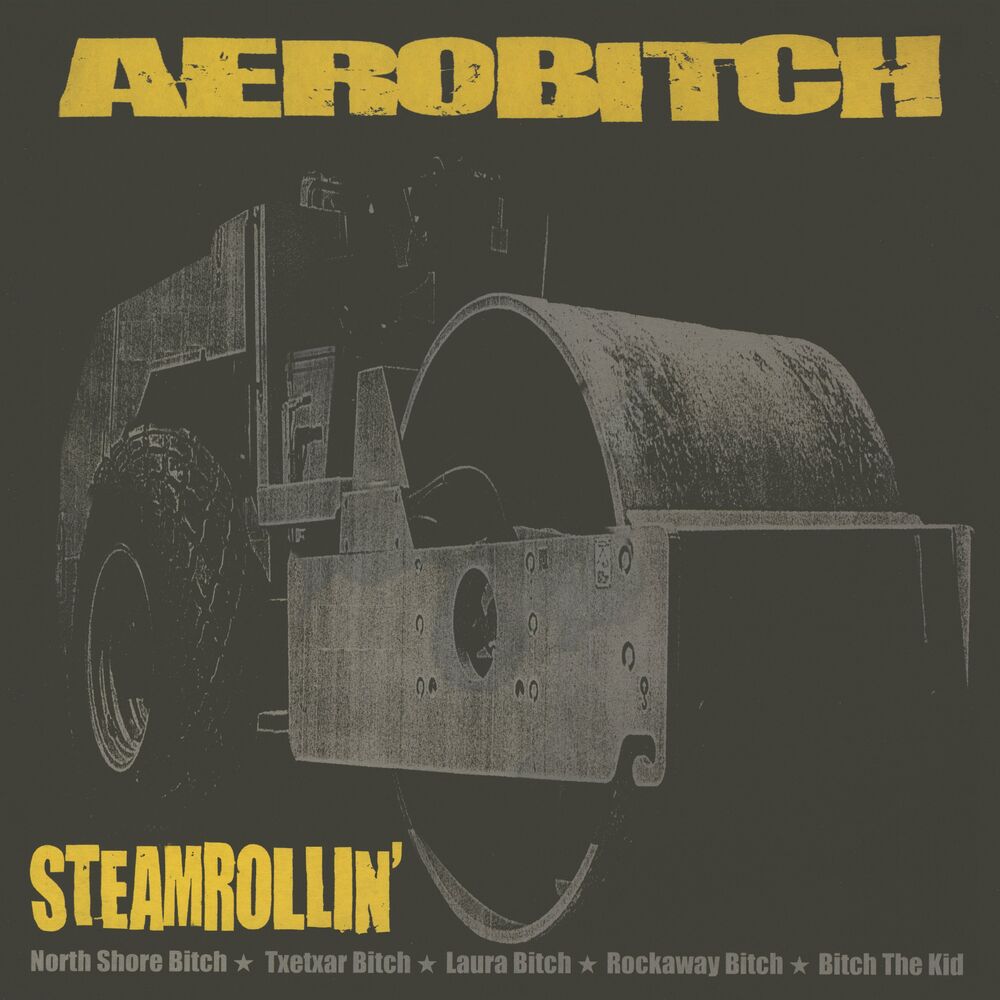 Aerobitch