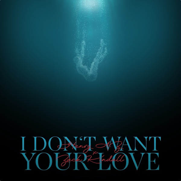 I Don't Want Your Love