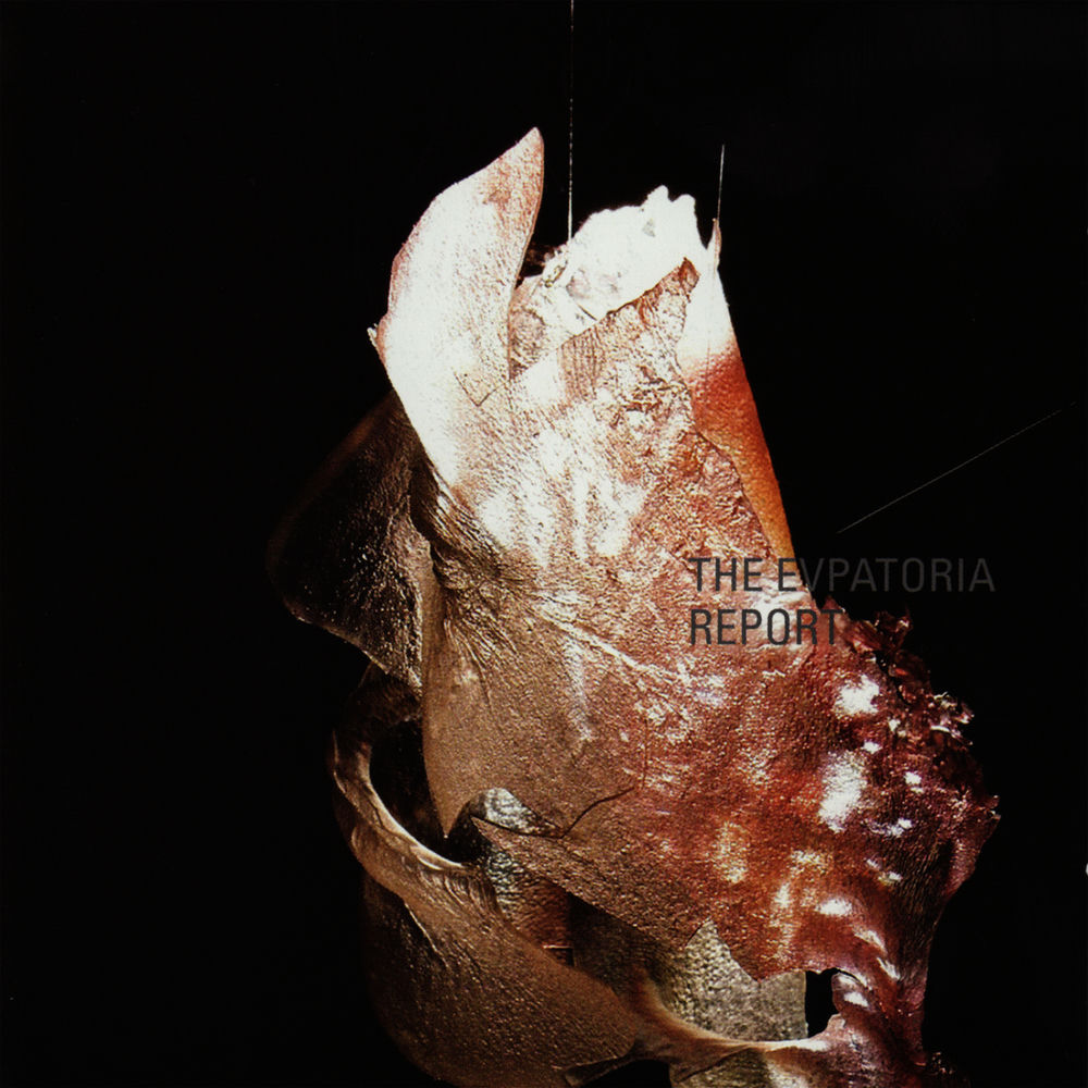 The Evpatoria Report