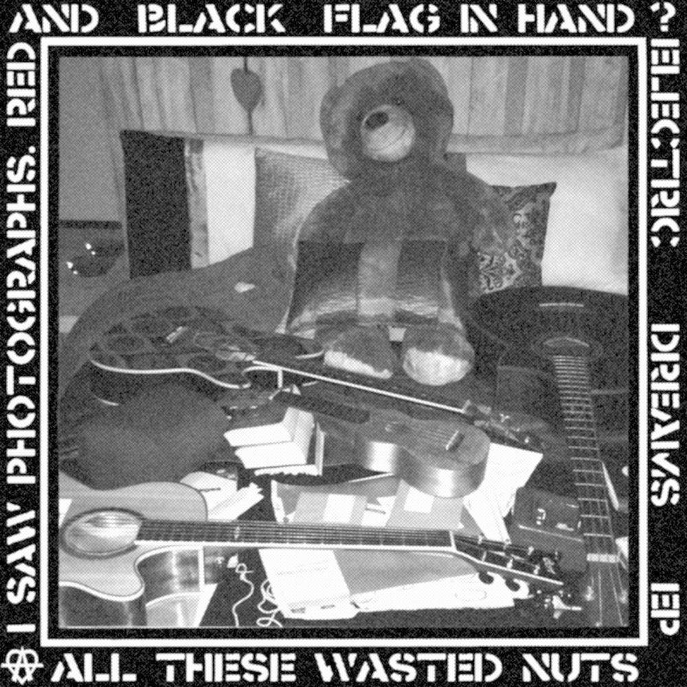 All These Wasted Nuts