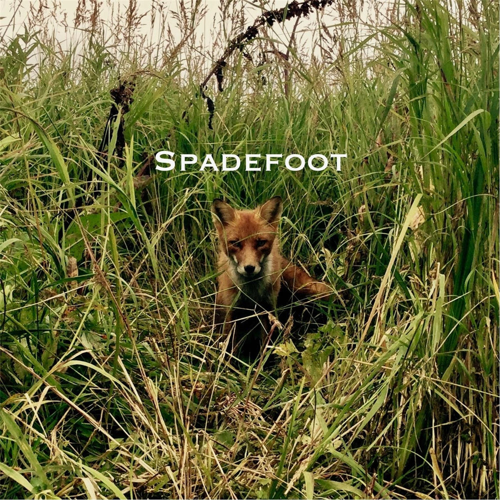 Spiderfoot