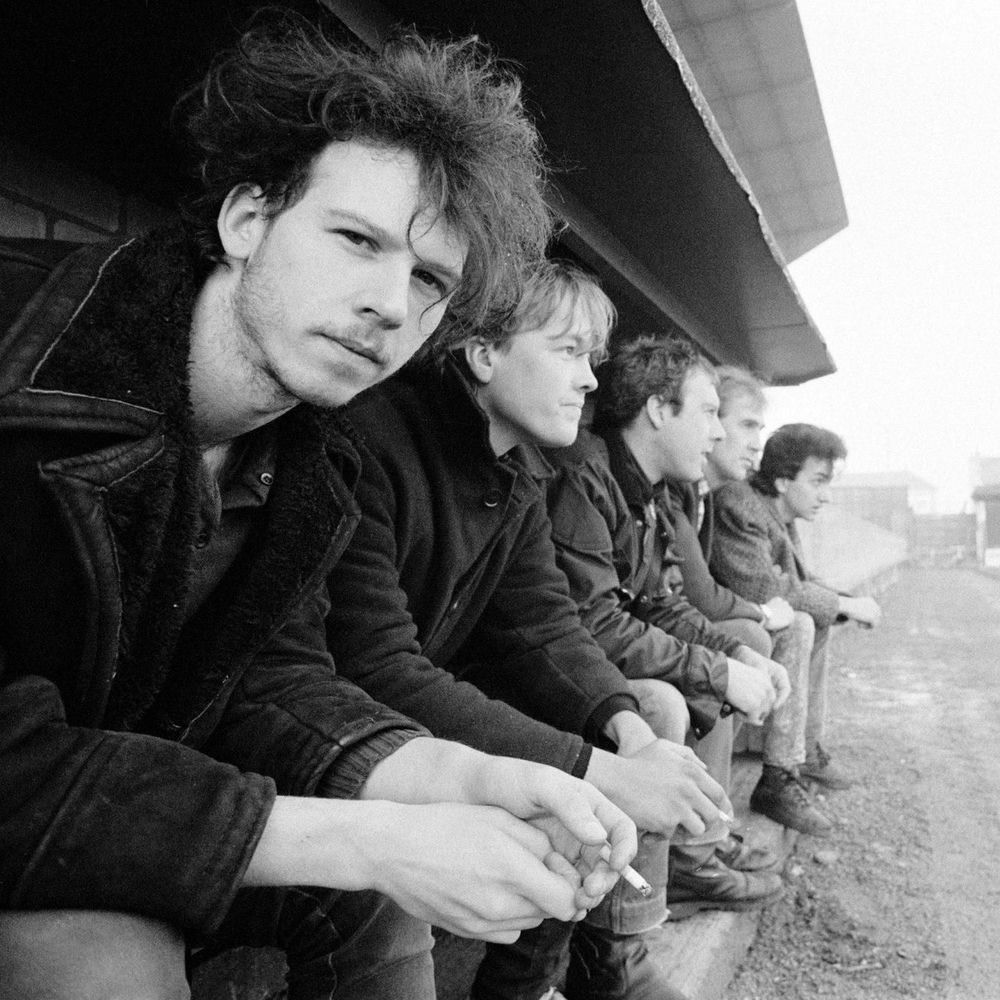 Half Man Half Biscuit