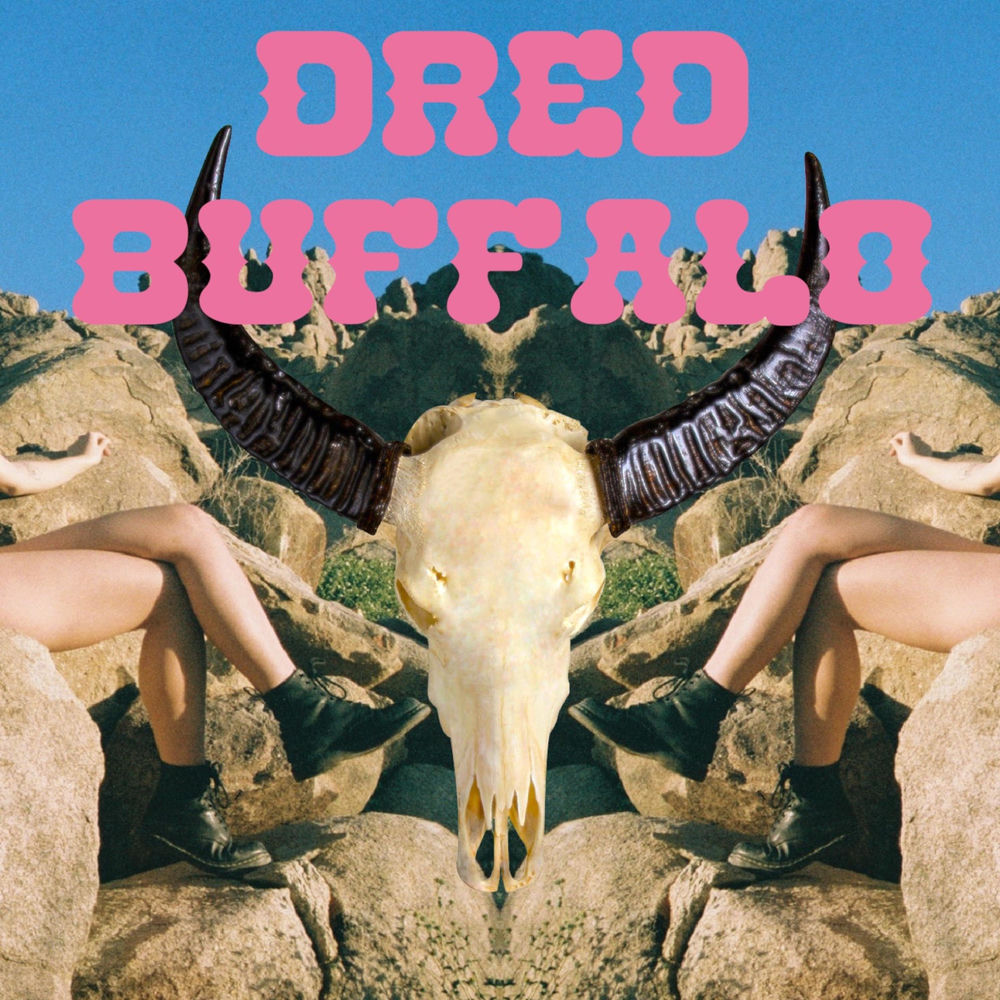 Dred Buffalo