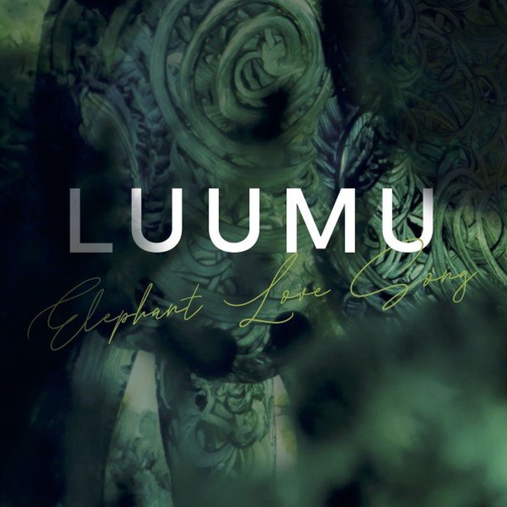 Luumu