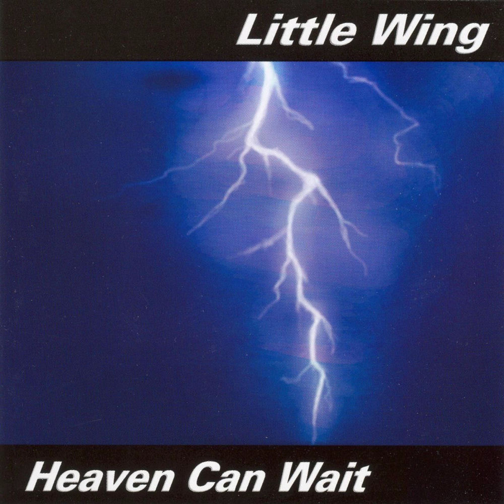 Little Wing