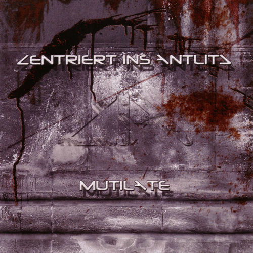 Zentriert Ins Antlitz