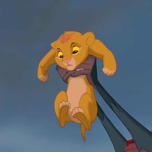 Der König Der Löwen